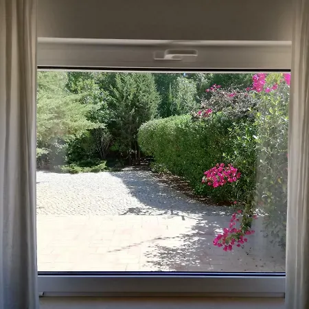 Manuel - Belch1952 拉哥斯