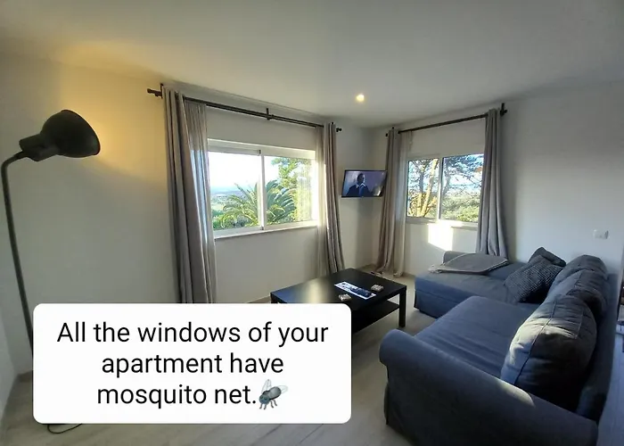 Manuel - Belch1952 ラゴス