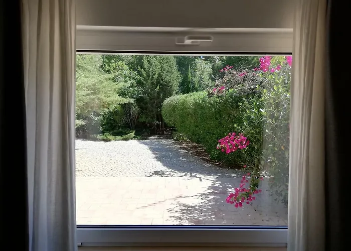 Manuel - Belch1952 ラゴス